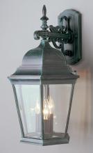Trans Globe 51002 SWI - Classical Collection, Traditional Metal and Beveled Glass, Armed Wall Lantern Light